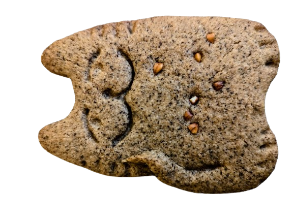 Biscuit géant chat sarrasin artisanal Biscuits Cui Marseille