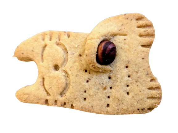 Biscuit géant chat noisette artisanal Biscuits Cui Marseille