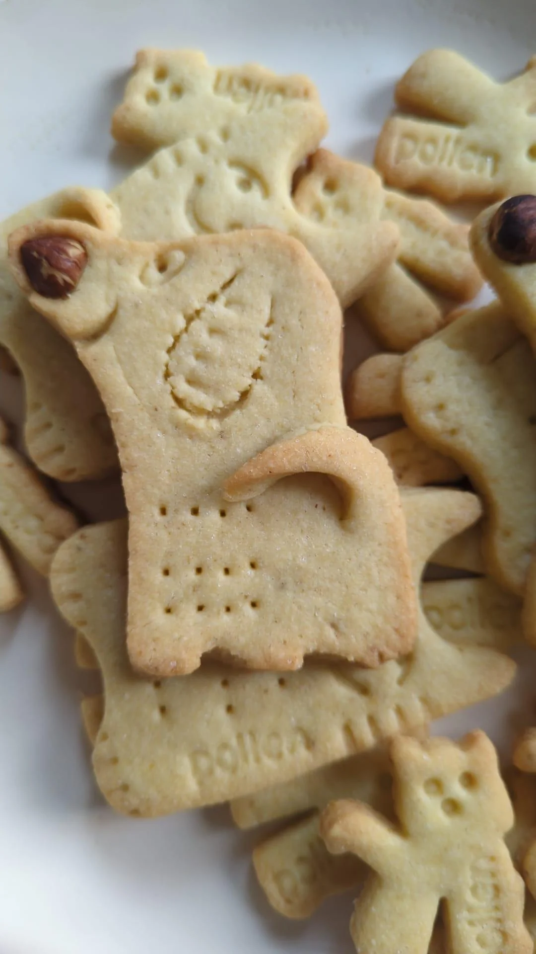 Biscuit artisanal Chien Noisette - Biscuits Cui Marseille